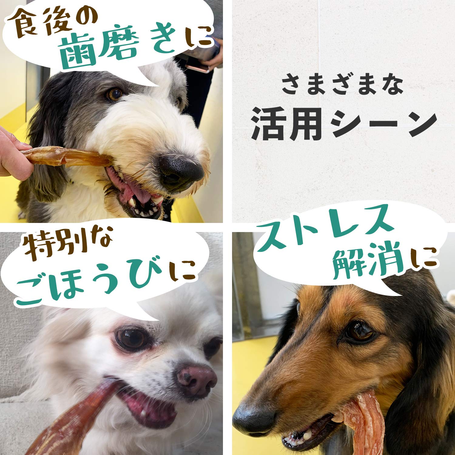 Amazon.co.jp: 国産 馬アキレス 極太 完全無添加 犬 おやつ 歯磨き用に